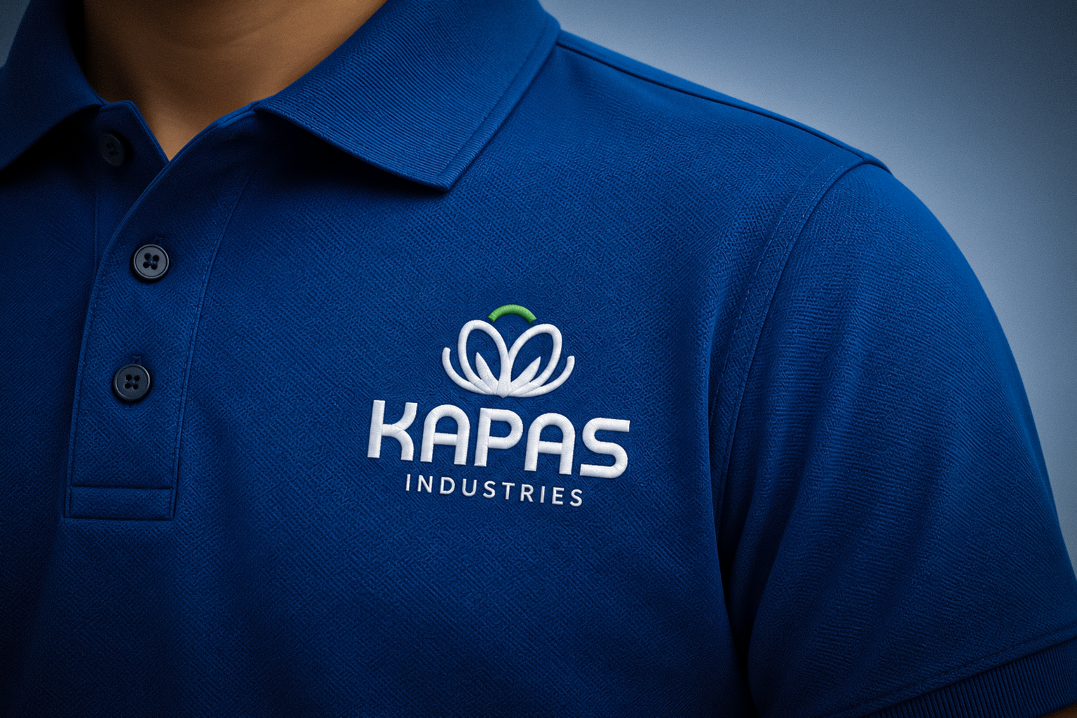 kapaas presentation 2
