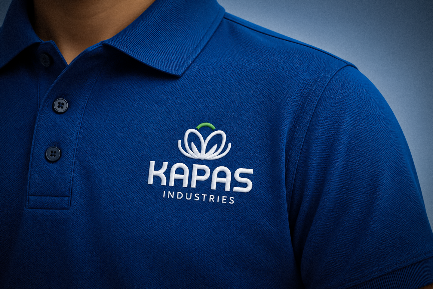 kapaas presentation 2